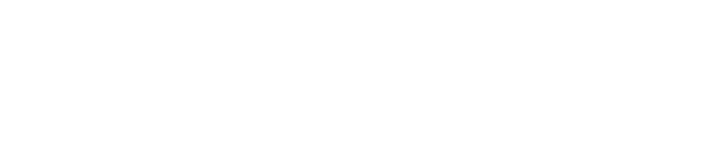 WordPress logotype standard white 1